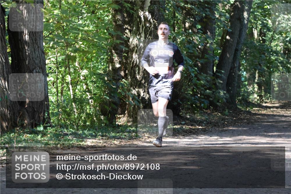 28.09.2025 - 33. Volkslauf durch das schöne Alstertal Strokosch-Dieckow http://msf.ph/oto/8972108 28.09.2025 12:29:55 Laufen  meine-sportfotos.de