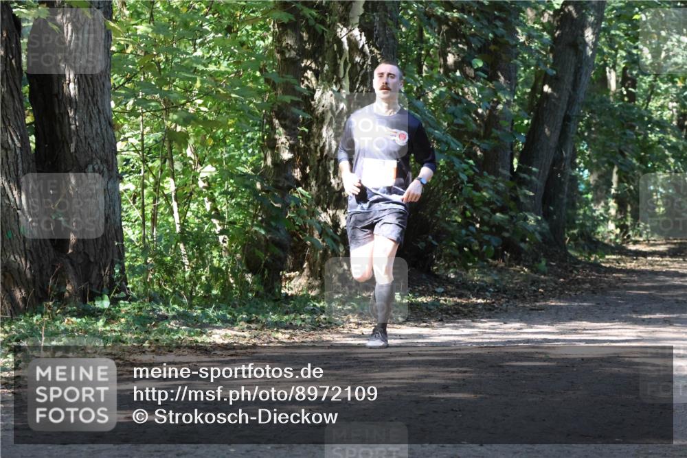 28.09.2025 - 33. Volkslauf durch das schöne Alstertal Strokosch-Dieckow http://msf.ph/oto/8972109 28.09.2025 12:29:55 Laufen  meine-sportfotos.de