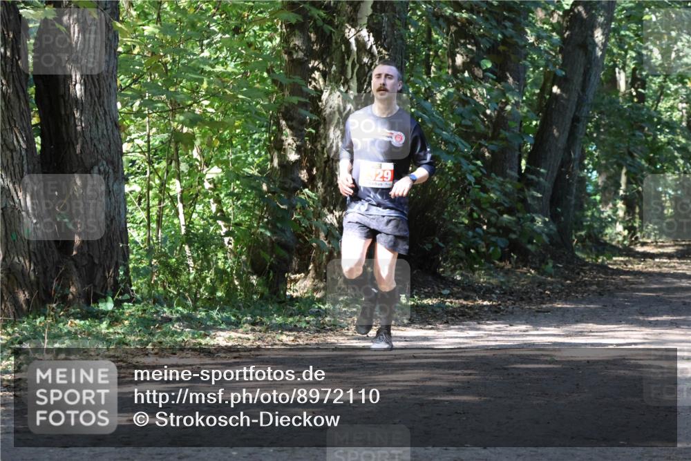 28.09.2025 - 33. Volkslauf durch das schöne Alstertal Strokosch-Dieckow http://msf.ph/oto/8972110 28.09.2025 12:29:55 Laufen 29 meine-sportfotos.de