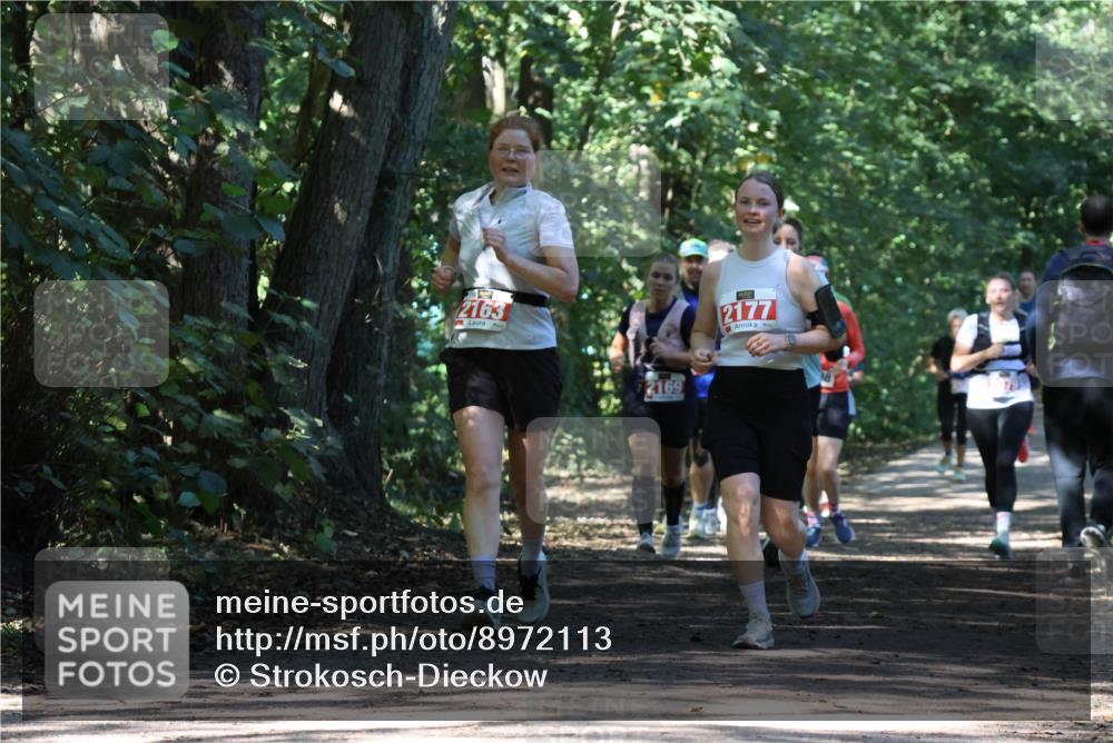 28.09.2025 - 33. Volkslauf durch das schöne Alstertal Strokosch-Dieckow http://msf.ph/oto/8972113 28.09.2025 12:30:00 Laufen 2163, 2169, 2177 meine-sportfotos.de