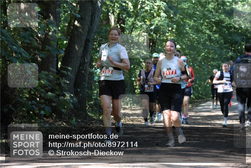 28.09.2025 - 33. Volkslauf durch das schöne Alstertal Strokosch-Dieckow http://msf.ph/oto/8972114 28.09.2025 12:30:00 Laufen 2163, 2169, 2177 meine-sportfotos.de