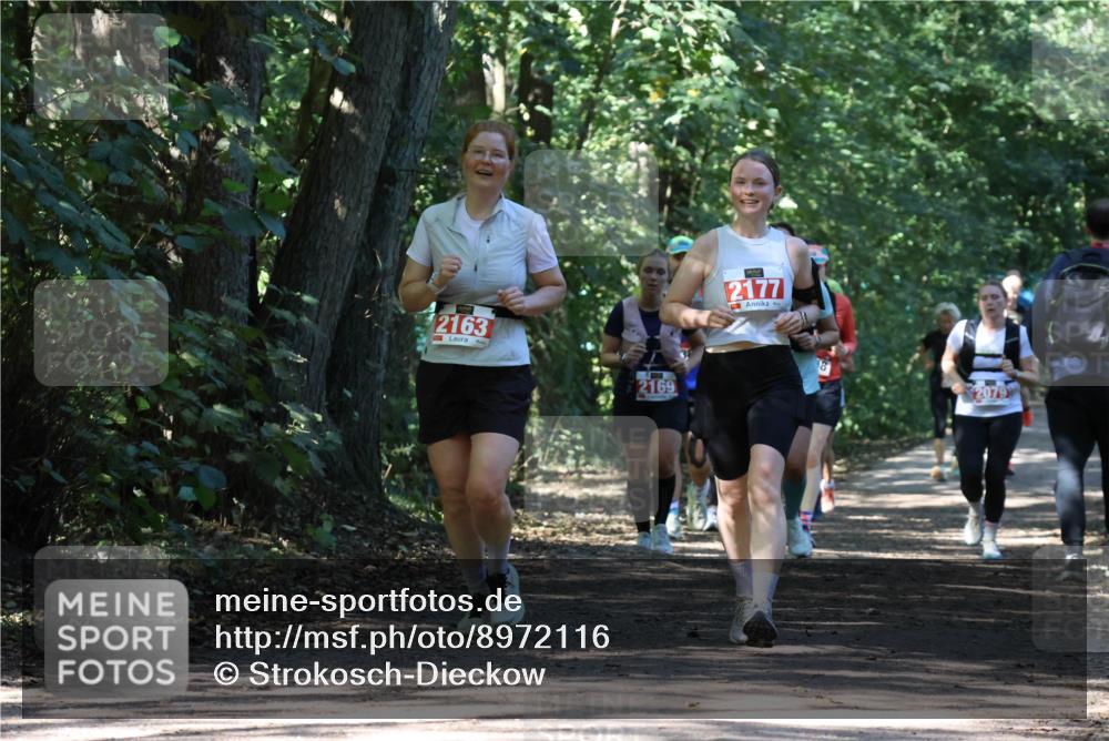 28.09.2025 - 33. Volkslauf durch das schöne Alstertal Strokosch-Dieckow http://msf.ph/oto/8972116 28.09.2025 12:30:01 Laufen 2163, 2169, 2177, 2079 meine-sportfotos.de