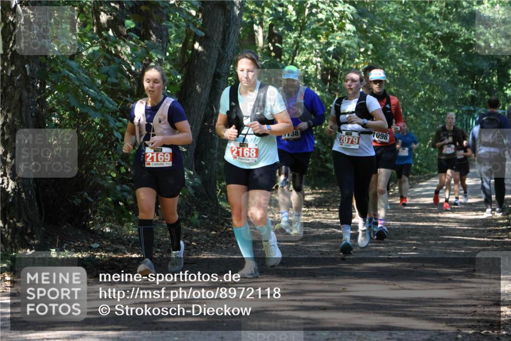 28.09.2025 - 33. Volkslauf durch das schöne Alstertal Strokosch-Dieckow http://msf.ph/oto/8972118 28.09.2025 12:30:06 Laufen 2169, 2168, 38, 2079, 1098, 2992 meine-sportfotos.de