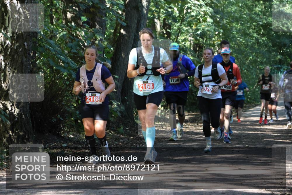 28.09.2025 - 33. Volkslauf durch das schöne Alstertal Strokosch-Dieckow http://msf.ph/oto/8972121 28.09.2025 12:30:06 Laufen 2169, 2168, 1738, 2079, 098, 2992 meine-sportfotos.de