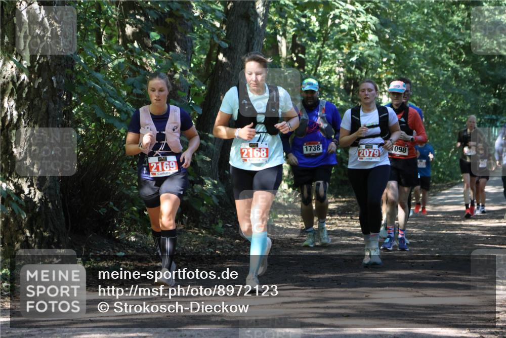 28.09.2025 - 33. Volkslauf durch das schöne Alstertal Strokosch-Dieckow http://msf.ph/oto/8972123 28.09.2025 12:30:06 Laufen 2169, 1738, 098, 2168, 2079 meine-sportfotos.de