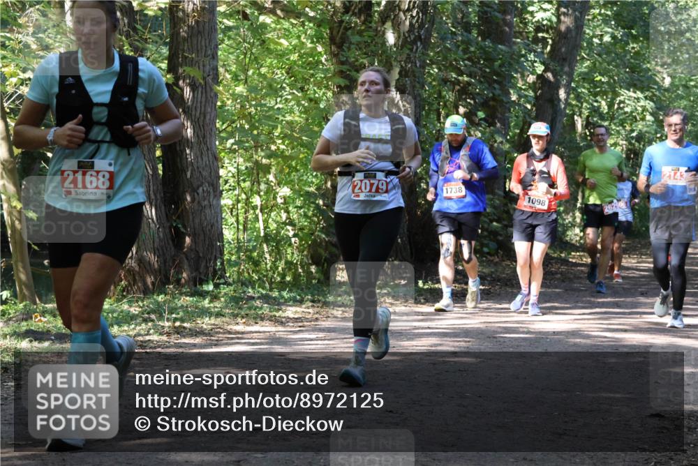 28.09.2025 - 33. Volkslauf durch das schöne Alstertal Strokosch-Dieckow http://msf.ph/oto/8972125 28.09.2025 12:30:10 Laufen 2168, 2079, 1738, 1098, 262906, 2143 meine-sportfotos.de