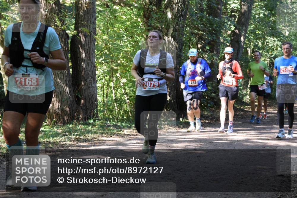28.09.2025 - 33. Volkslauf durch das schöne Alstertal Strokosch-Dieckow http://msf.ph/oto/8972127 28.09.2025 12:30:10 Laufen 2168, 2079, 1738, 1098, 2629, 214 meine-sportfotos.de