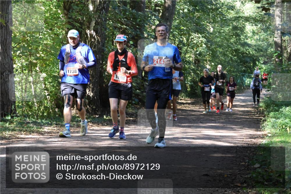 28.09.2025 - 33. Volkslauf durch das schöne Alstertal Strokosch-Dieckow http://msf.ph/oto/8972129 28.09.2025 12:30:12 Laufen 1738, 1098, 2143, 2535, 2992 meine-sportfotos.de