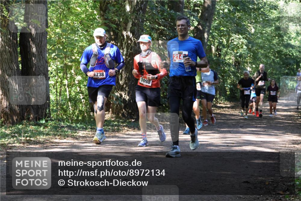 28.09.2025 - 33. Volkslauf durch das schöne Alstertal Strokosch-Dieckow http://msf.ph/oto/8972134 28.09.2025 12:30:12 Laufen 738, 1098, 214, 2535 meine-sportfotos.de
