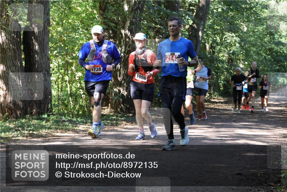 28.09.2025 - 33. Volkslauf durch das schöne Alstertal Strokosch-Dieckow http://msf.ph/oto/8972135 28.09.2025 12:30:12 Laufen 738, 1098, 2143 meine-sportfotos.de