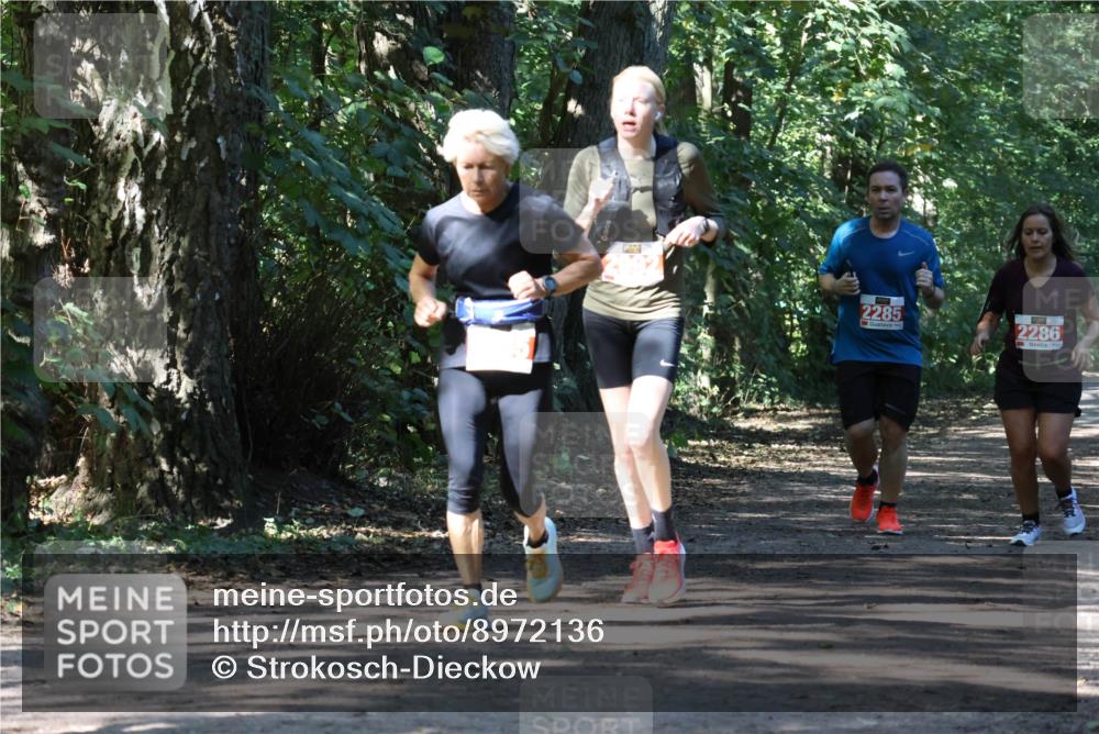 28.09.2025 - 33. Volkslauf durch das schöne Alstertal Strokosch-Dieckow http://msf.ph/oto/8972136 28.09.2025 12:30:17 Laufen 2285, 2286 meine-sportfotos.de
