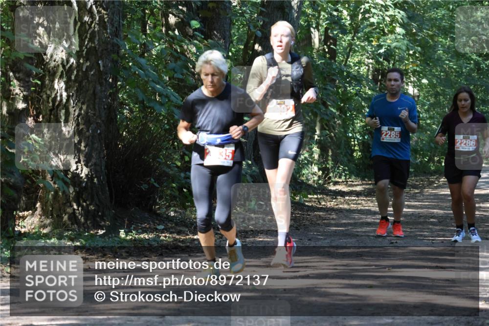 28.09.2025 - 33. Volkslauf durch das schöne Alstertal Strokosch-Dieckow http://msf.ph/oto/8972137 28.09.2025 12:30:17 Laufen 35, 2285, 2286 meine-sportfotos.de