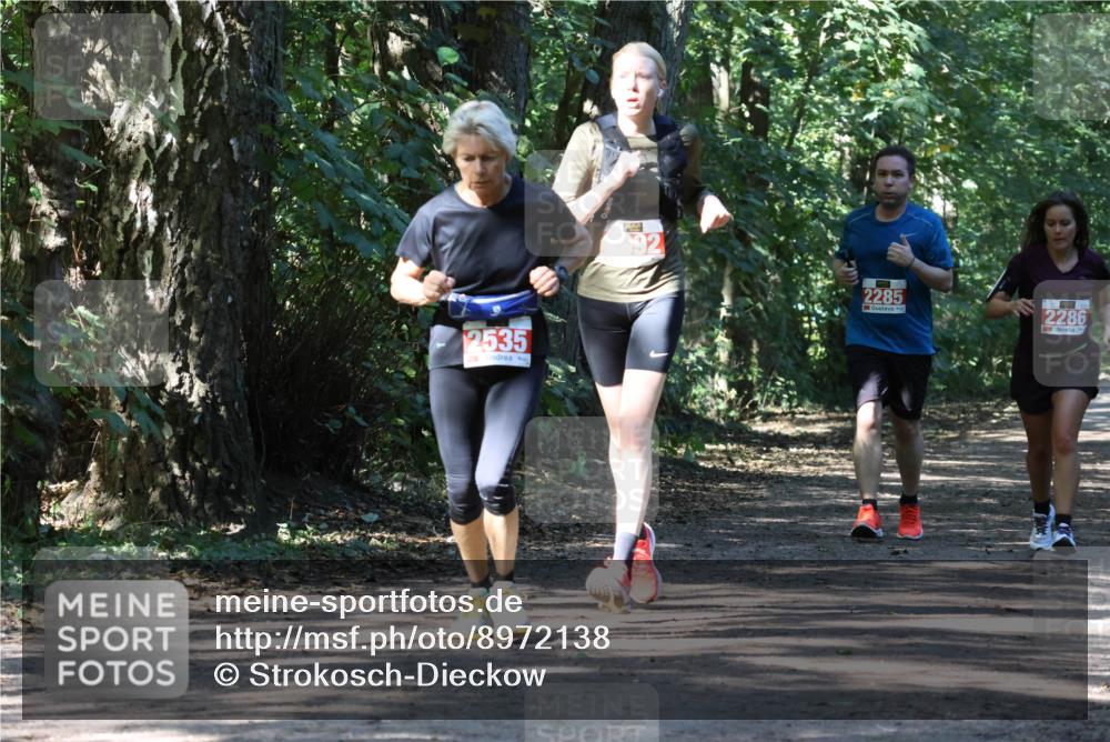28.09.2025 - 33. Volkslauf durch das schöne Alstertal Strokosch-Dieckow http://msf.ph/oto/8972138 28.09.2025 12:30:17 Laufen 2535, 92, 2285, 2286 meine-sportfotos.de