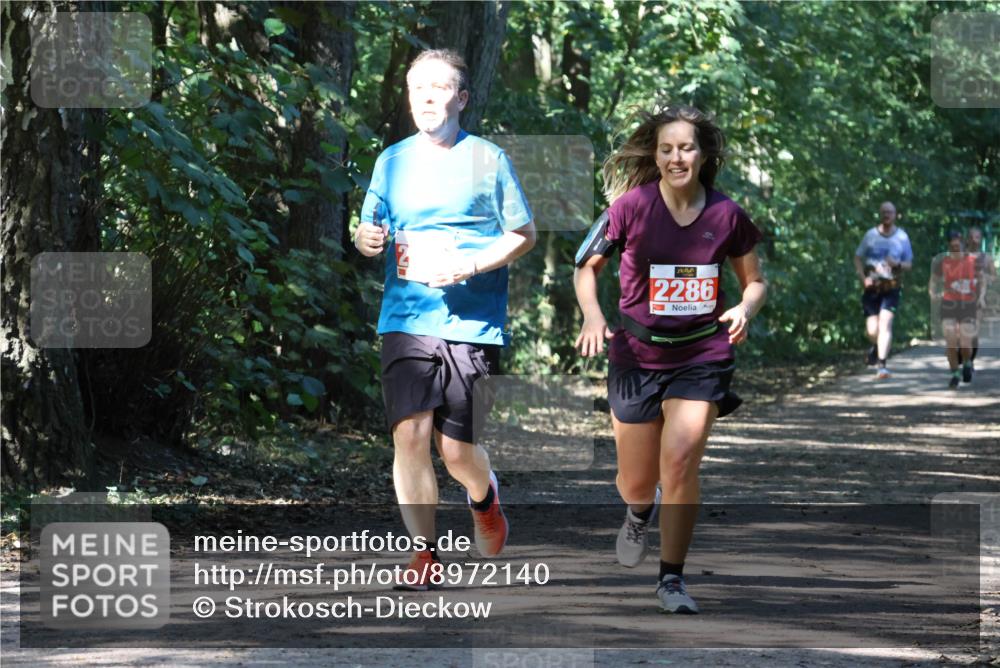 28.09.2025 - 33. Volkslauf durch das schöne Alstertal Strokosch-Dieckow http://msf.ph/oto/8972140 28.09.2025 12:30:20 Laufen 2286 meine-sportfotos.de