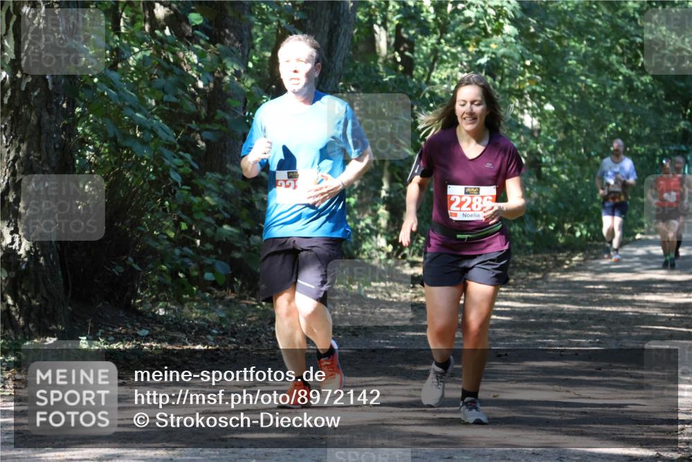 28.09.2025 - 33. Volkslauf durch das schöne Alstertal Strokosch-Dieckow http://msf.ph/oto/8972142 28.09.2025 12:30:20 Laufen 2285 meine-sportfotos.de