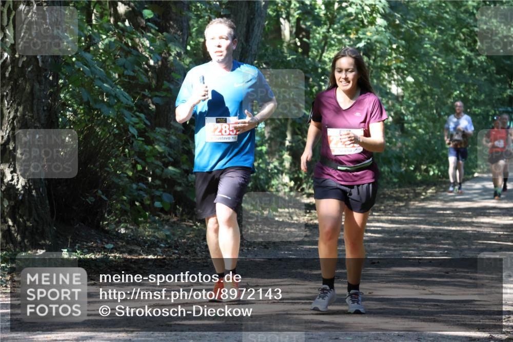 28.09.2025 - 33. Volkslauf durch das schöne Alstertal Strokosch-Dieckow http://msf.ph/oto/8972143 28.09.2025 12:30:20 Laufen 2285 meine-sportfotos.de