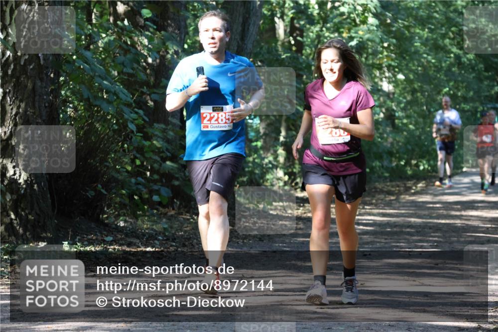 28.09.2025 - 33. Volkslauf durch das schöne Alstertal Strokosch-Dieckow http://msf.ph/oto/8972144 28.09.2025 12:30:20 Laufen 2285, 280 meine-sportfotos.de