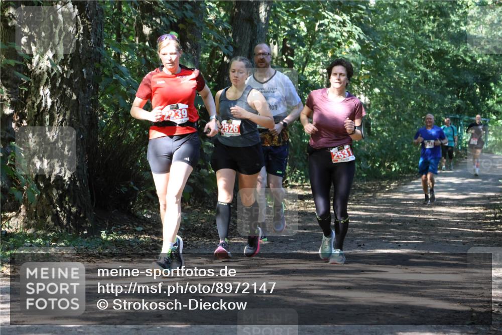 28.09.2025 - 33. Volkslauf durch das schöne Alstertal Strokosch-Dieckow http://msf.ph/oto/8972147 28.09.2025 12:30:35 Laufen 2239, 2526, 2531 meine-sportfotos.de