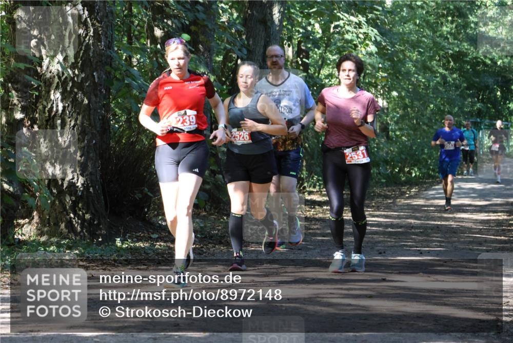 28.09.2025 - 33. Volkslauf durch das schöne Alstertal Strokosch-Dieckow http://msf.ph/oto/8972148 28.09.2025 12:30:35 Laufen 239, 2526, 2531 meine-sportfotos.de