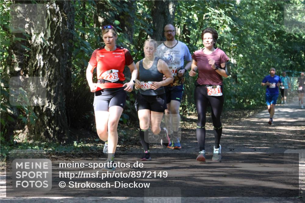 28.09.2025 - 33. Volkslauf durch das schöne Alstertal Strokosch-Dieckow http://msf.ph/oto/8972149 28.09.2025 12:30:35 Laufen 2239, 526, 2531 meine-sportfotos.de