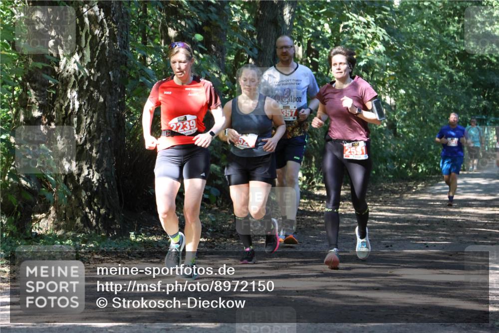 28.09.2025 - 33. Volkslauf durch das schöne Alstertal Strokosch-Dieckow http://msf.ph/oto/8972150 28.09.2025 12:30:35 Laufen 2239, 357, 2551 meine-sportfotos.de