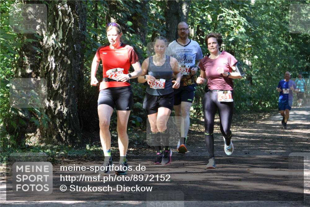 28.09.2025 - 33. Volkslauf durch das schöne Alstertal Strokosch-Dieckow http://msf.ph/oto/8972152 28.09.2025 12:30:35 Laufen 2239, 2526, 357, 2531, 2043 meine-sportfotos.de