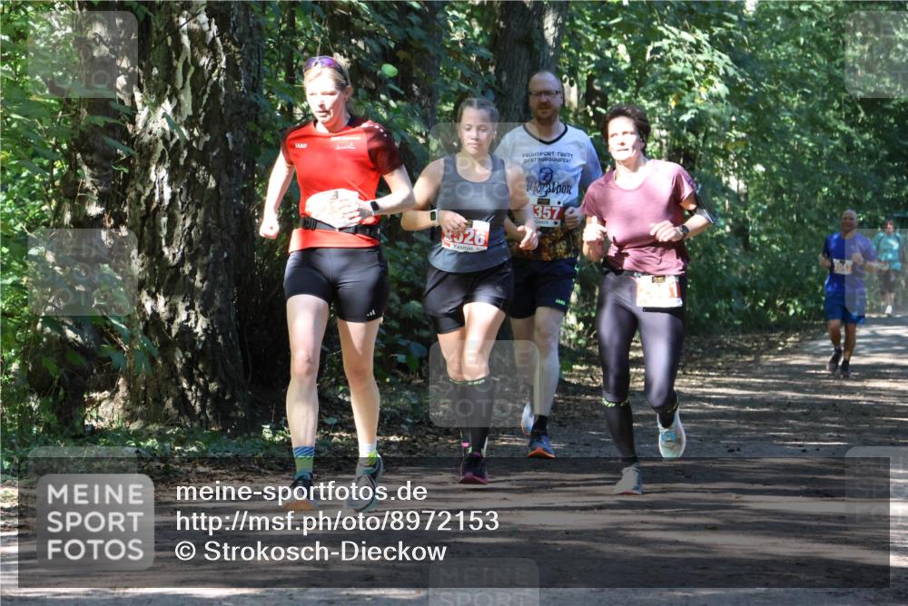 28.09.2025 - 33. Volkslauf durch das schöne Alstertal Strokosch-Dieckow http://msf.ph/oto/8972153 28.09.2025 12:30:35 Laufen 2526, 357, 2048 meine-sportfotos.de
