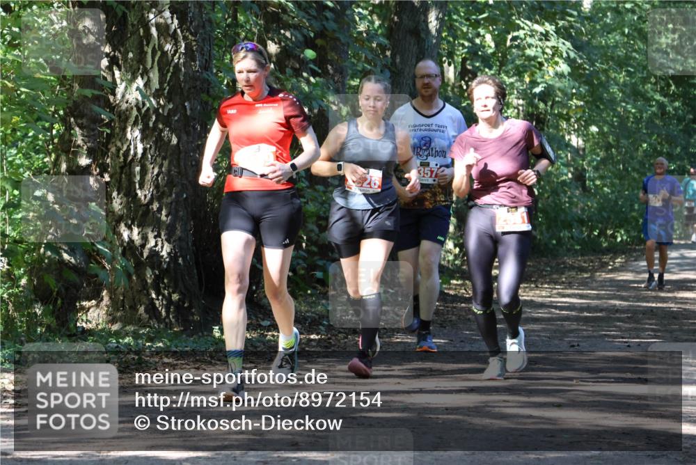 28.09.2025 - 33. Volkslauf durch das schöne Alstertal Strokosch-Dieckow http://msf.ph/oto/8972154 28.09.2025 12:30:35 Laufen 880, 26, 3572, 2049 meine-sportfotos.de