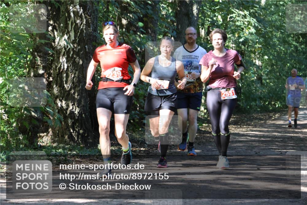 28.09.2025 - 33. Volkslauf durch das schöne Alstertal Strokosch-Dieckow http://msf.ph/oto/8972155 28.09.2025 12:30:35 Laufen 239, 35, 2531 meine-sportfotos.de