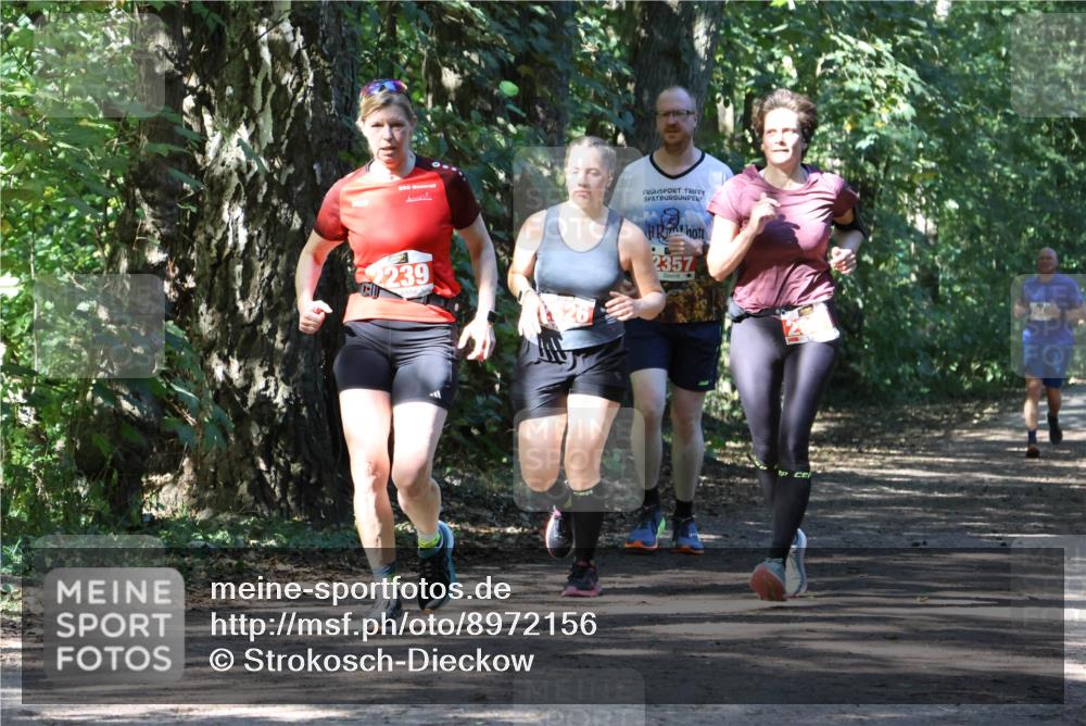 28.09.2025 - 33. Volkslauf durch das schöne Alstertal Strokosch-Dieckow http://msf.ph/oto/8972156 28.09.2025 12:30:35 Laufen 2239, 2357 meine-sportfotos.de