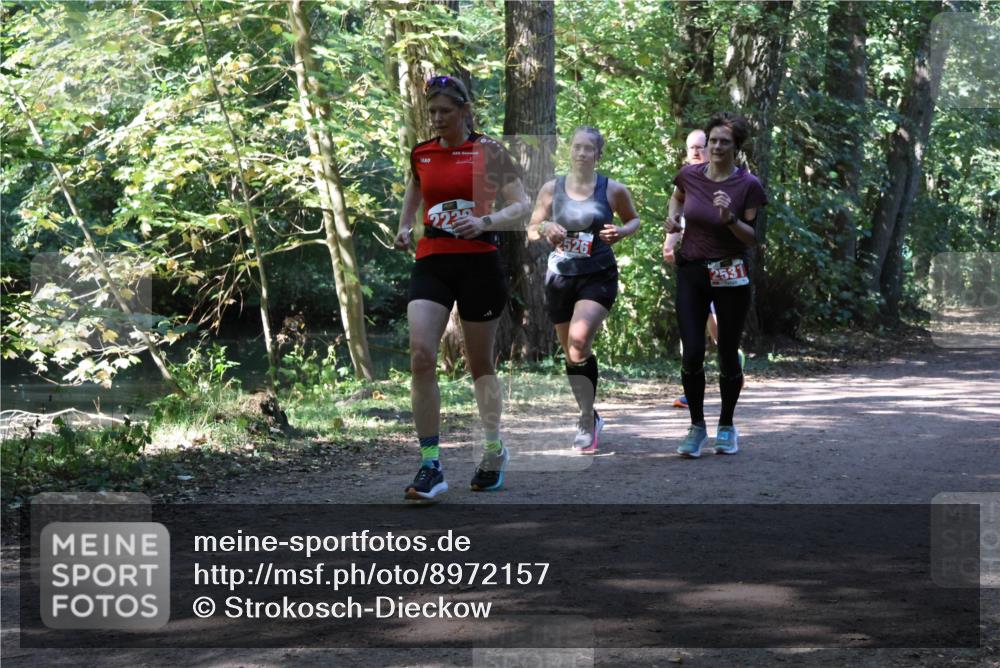 28.09.2025 - 33. Volkslauf durch das schöne Alstertal Strokosch-Dieckow http://msf.ph/oto/8972157 28.09.2025 12:30:38 Laufen 830, 2229, 2526, 2531 meine-sportfotos.de