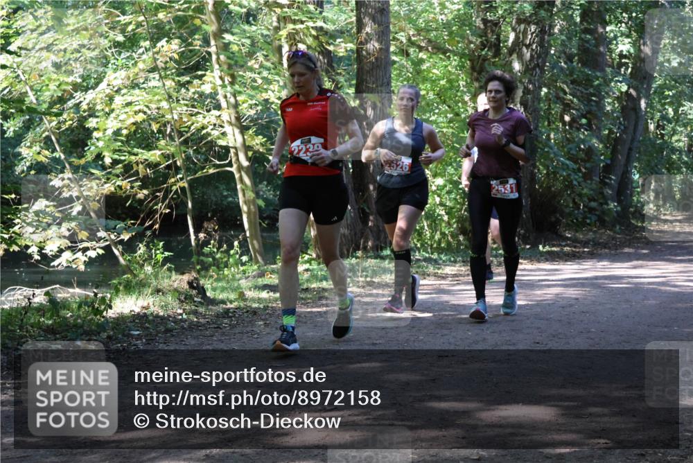 28.09.2025 - 33. Volkslauf durch das schöne Alstertal Strokosch-Dieckow http://msf.ph/oto/8972158 28.09.2025 12:30:38 Laufen 2239, 2526, 253 meine-sportfotos.de