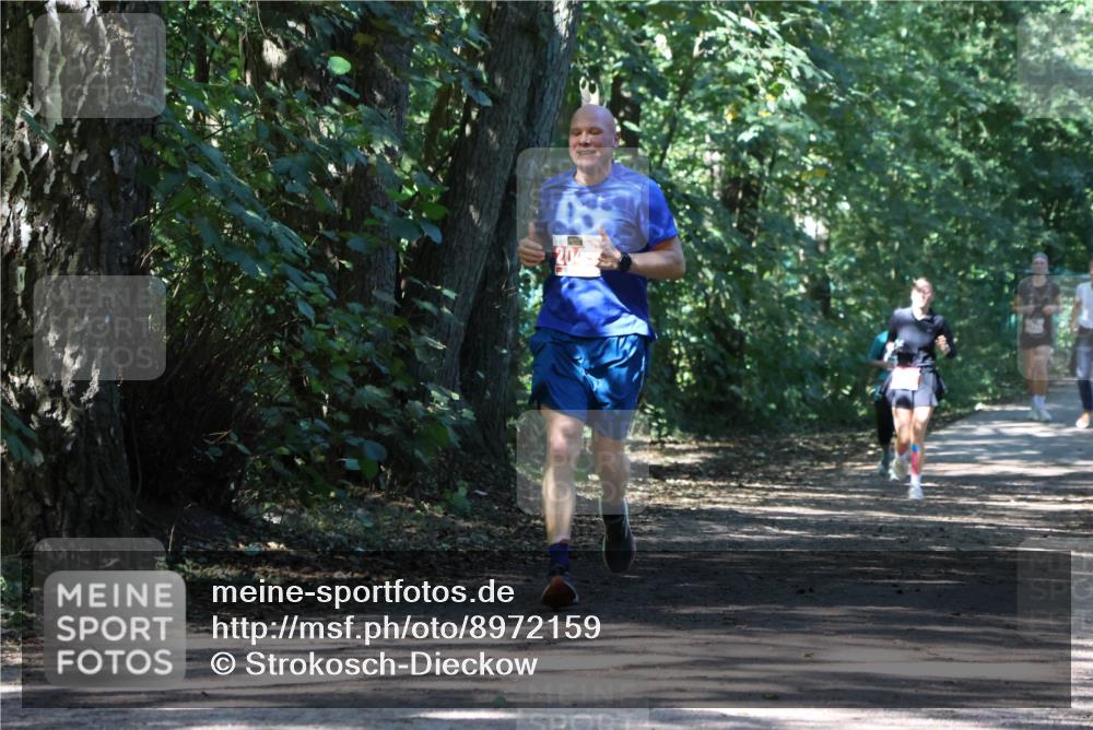 28.09.2025 - 33. Volkslauf durch das schöne Alstertal Strokosch-Dieckow http://msf.ph/oto/8972159 28.09.2025 12:30:43 Laufen 20 meine-sportfotos.de