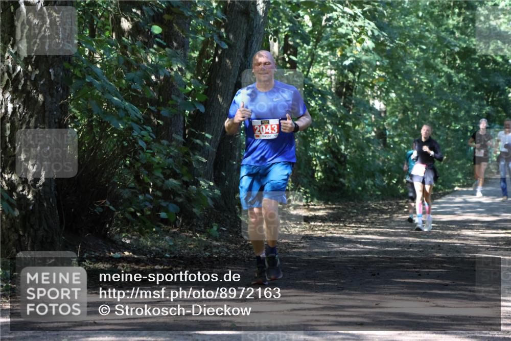 28.09.2025 - 33. Volkslauf durch das schöne Alstertal Strokosch-Dieckow http://msf.ph/oto/8972163 28.09.2025 12:30:43 Laufen 2043 meine-sportfotos.de