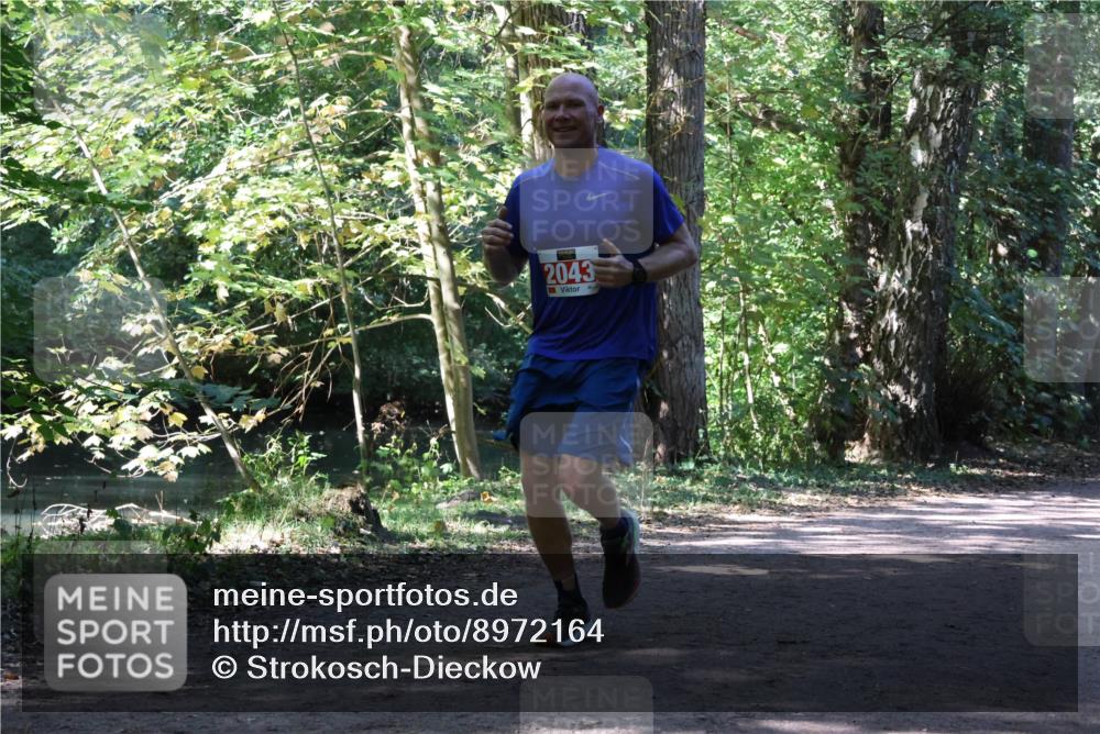 28.09.2025 - 33. Volkslauf durch das schöne Alstertal Strokosch-Dieckow http://msf.ph/oto/8972164 28.09.2025 12:30:48 Laufen 2043 meine-sportfotos.de