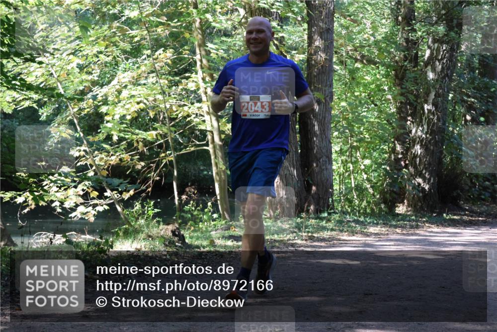 28.09.2025 - 33. Volkslauf durch das schöne Alstertal Strokosch-Dieckow http://msf.ph/oto/8972166 28.09.2025 12:30:48 Laufen 2043, 3 meine-sportfotos.de