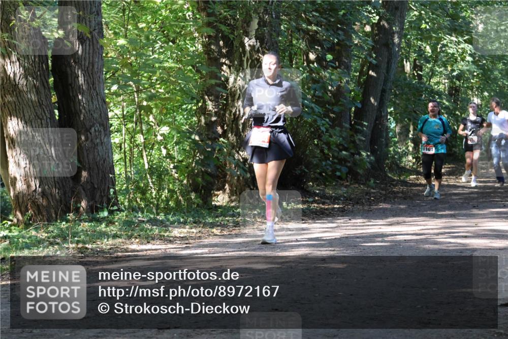 28.09.2025 - 33. Volkslauf durch das schöne Alstertal Strokosch-Dieckow http://msf.ph/oto/8972167 28.09.2025 12:30:54 Laufen 1101 meine-sportfotos.de