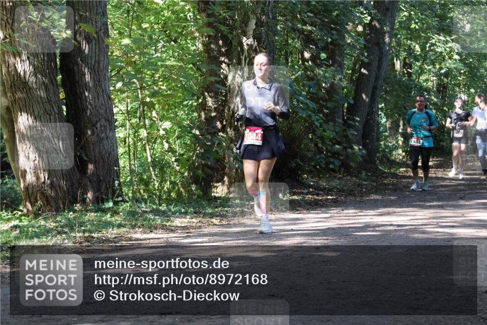 28.09.2025 - 33. Volkslauf durch das schöne Alstertal Strokosch-Dieckow http://msf.ph/oto/8972168 28.09.2025 12:30:54 Laufen 2044, 1101 meine-sportfotos.de
