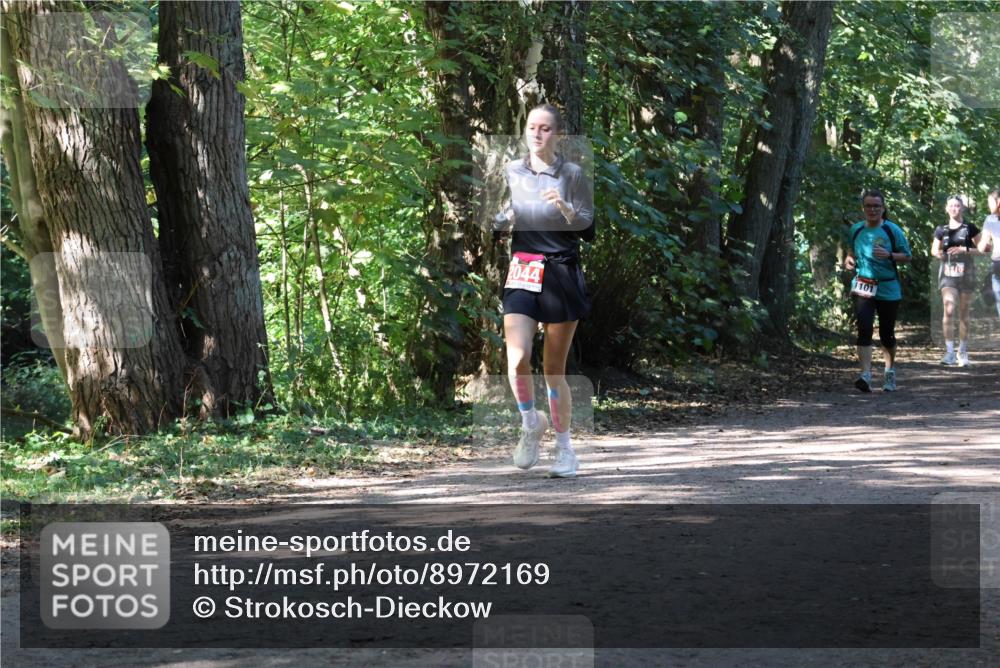 28.09.2025 - 33. Volkslauf durch das schöne Alstertal Strokosch-Dieckow http://msf.ph/oto/8972169 28.09.2025 12:30:54 Laufen 2044, 1101 meine-sportfotos.de