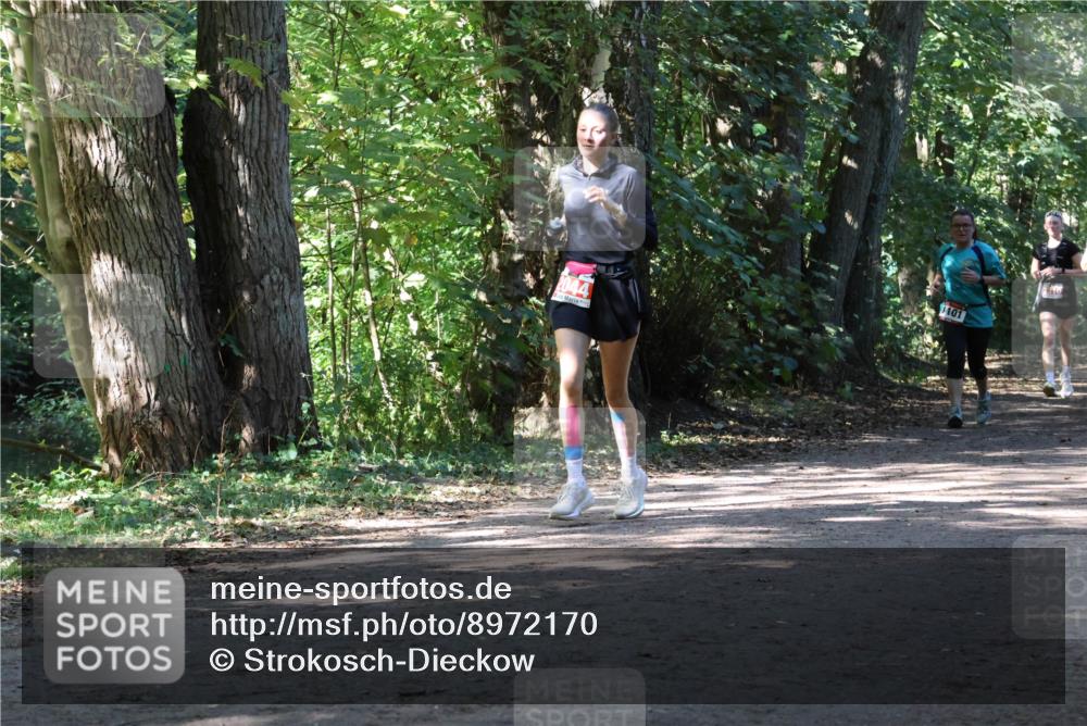 28.09.2025 - 33. Volkslauf durch das schöne Alstertal Strokosch-Dieckow http://msf.ph/oto/8972170 28.09.2025 12:30:54 Laufen 2044, 101, 310 meine-sportfotos.de