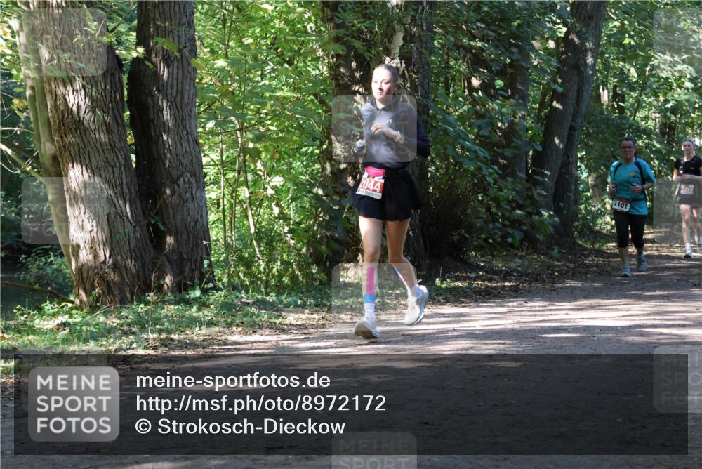 28.09.2025 - 33. Volkslauf durch das schöne Alstertal Strokosch-Dieckow http://msf.ph/oto/8972172 28.09.2025 12:30:54 Laufen 2044, 101, 210 meine-sportfotos.de