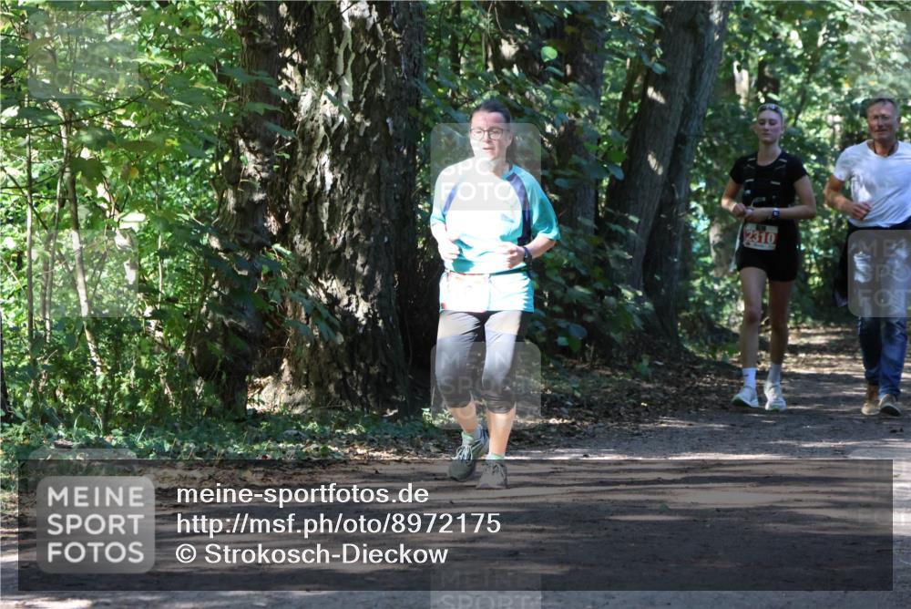 28.09.2025 - 33. Volkslauf durch das schöne Alstertal Strokosch-Dieckow http://msf.ph/oto/8972175 28.09.2025 12:30:58 Laufen 2310 meine-sportfotos.de