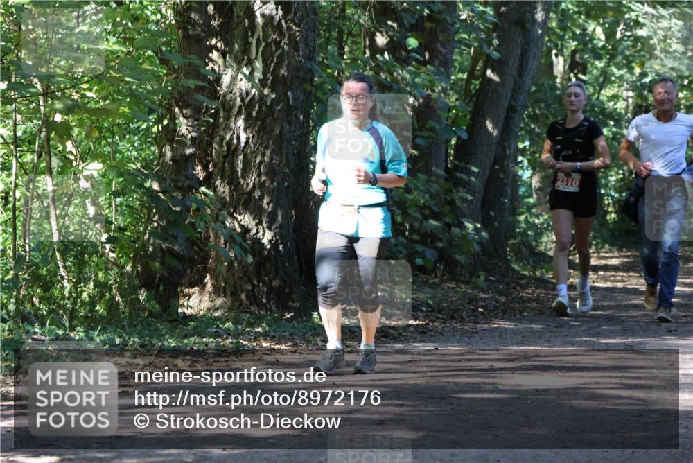 28.09.2025 - 33. Volkslauf durch das schöne Alstertal Strokosch-Dieckow http://msf.ph/oto/8972176 28.09.2025 12:30:58 Laufen 2310 meine-sportfotos.de
