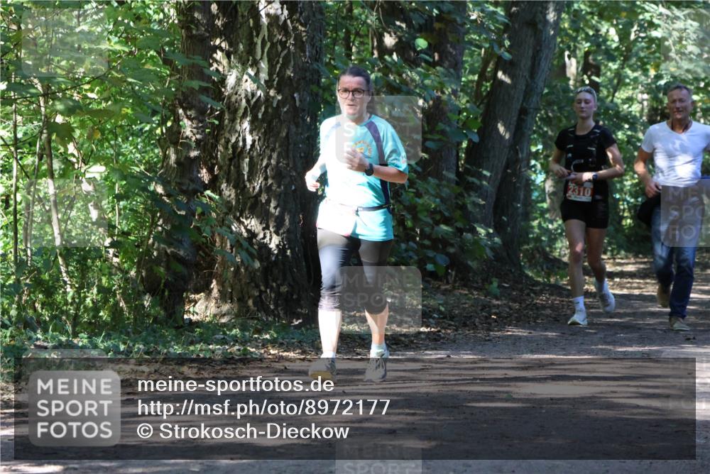28.09.2025 - 33. Volkslauf durch das schöne Alstertal Strokosch-Dieckow http://msf.ph/oto/8972177 28.09.2025 12:30:58 Laufen 2310 meine-sportfotos.de