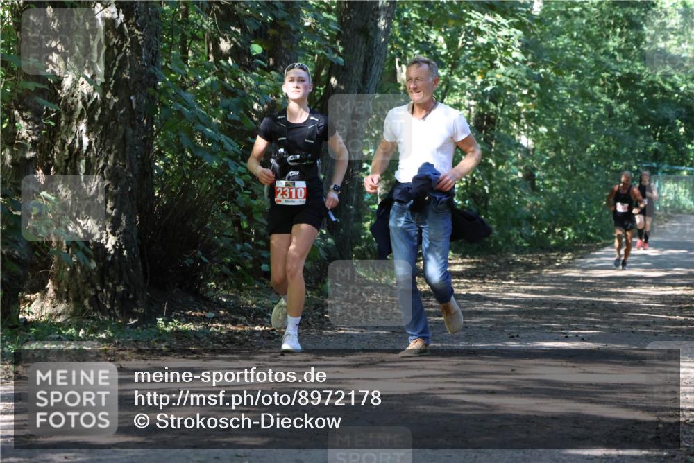 28.09.2025 - 33. Volkslauf durch das schöne Alstertal Strokosch-Dieckow http://msf.ph/oto/8972178 28.09.2025 12:31:00 Laufen 2310 meine-sportfotos.de