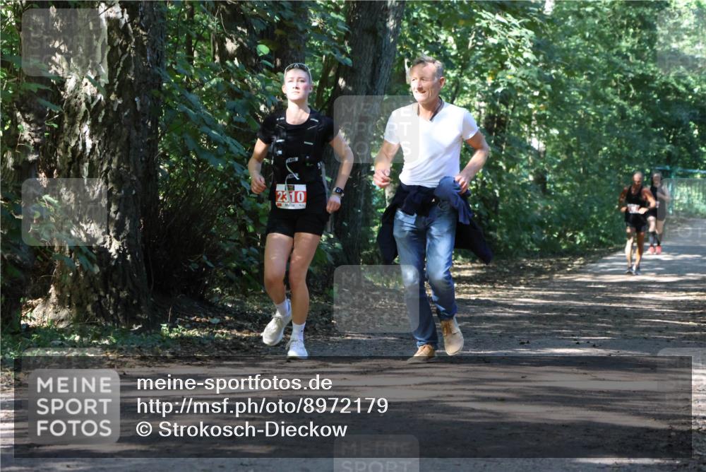 28.09.2025 - 33. Volkslauf durch das schöne Alstertal Strokosch-Dieckow http://msf.ph/oto/8972179 28.09.2025 12:31:00 Laufen 2310 meine-sportfotos.de