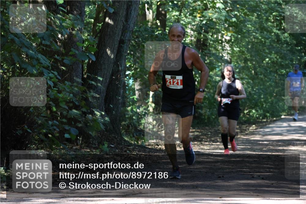 28.09.2025 - 33. Volkslauf durch das schöne Alstertal Strokosch-Dieckow http://msf.ph/oto/8972186 28.09.2025 12:31:11 Laufen 2121 meine-sportfotos.de
