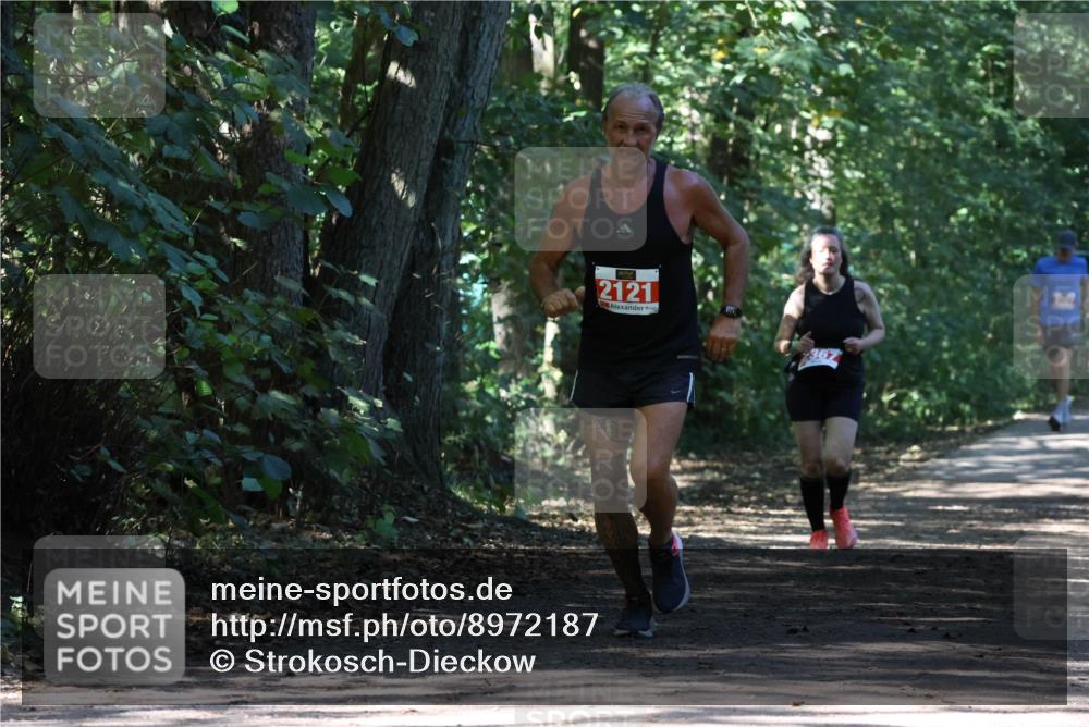 28.09.2025 - 33. Volkslauf durch das schöne Alstertal Strokosch-Dieckow http://msf.ph/oto/8972187 28.09.2025 12:31:11 Laufen 2121, 367 meine-sportfotos.de