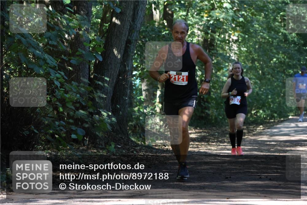 28.09.2025 - 33. Volkslauf durch das schöne Alstertal Strokosch-Dieckow http://msf.ph/oto/8972188 28.09.2025 12:31:11 Laufen 2121, 2367 meine-sportfotos.de