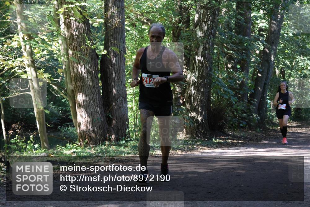 28.09.2025 - 33. Volkslauf durch das schöne Alstertal Strokosch-Dieckow http://msf.ph/oto/8972190 28.09.2025 12:31:16 Laufen 212 meine-sportfotos.de